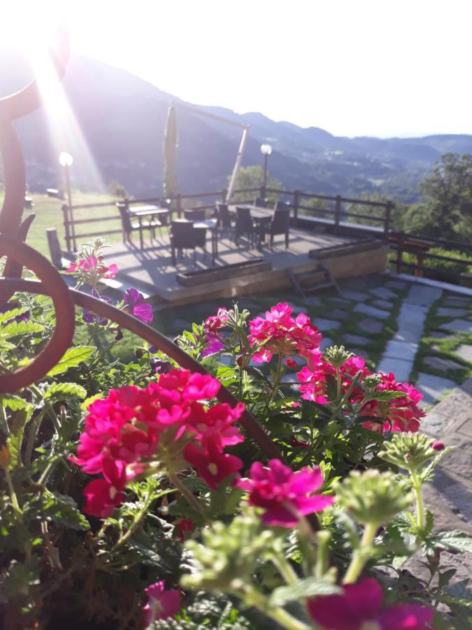 Ca Praudin Otel Vico Canavese Dış mekan fotoğraf